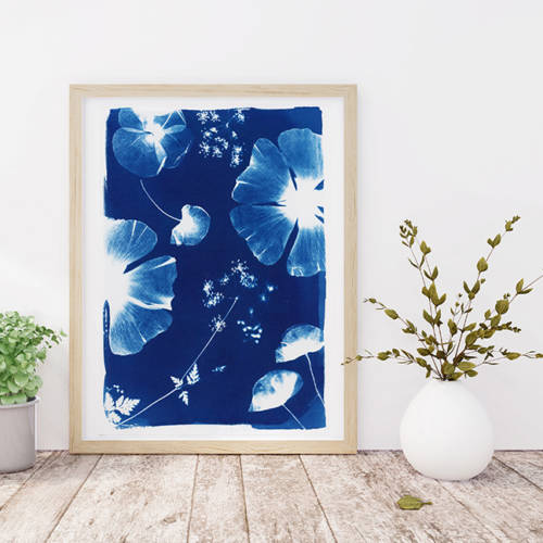 Cyanotype original "Grand format"