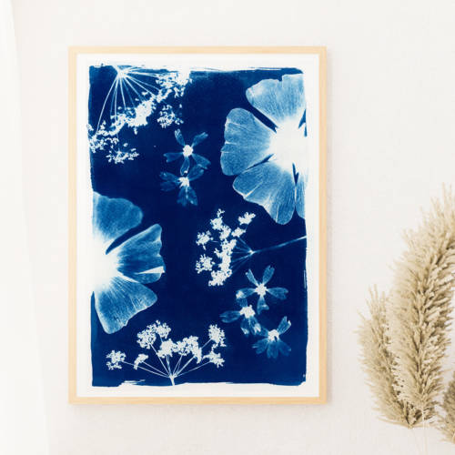 Cyanotype original "Moyen format"