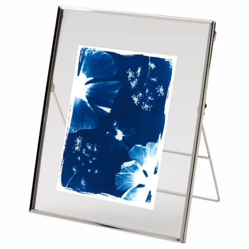 Cyanotype original "Grand herbier"