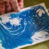 Cyanotype révélation 2026-2027 | CYANOTYPE Découverte sur papier