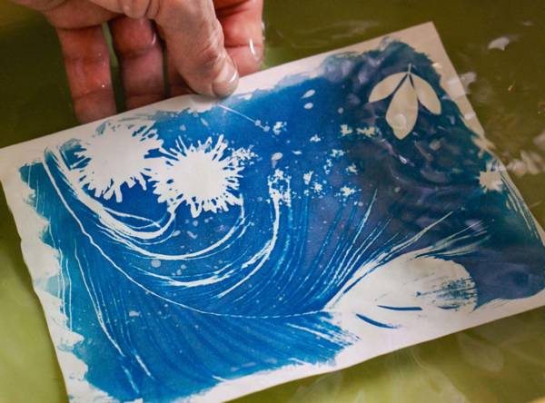 Cyanotype révélation 2026-2027 | CYANOTYPE Découverte sur papier