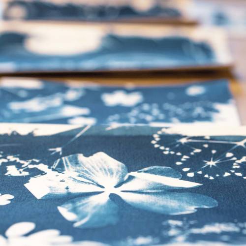 2024.11_Atelier cyanotype web 2 Cyanotype sur papier