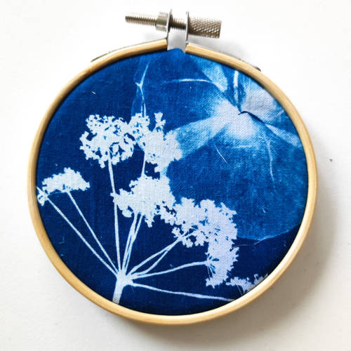 Cyanotype original "Tambour à broderie"