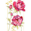Carte illustrée Ikebana Pivoines 1 Carte illustrée de pivoines roses et rouges en aquarelle, fond blanc, cadre doré, style floral vibrant