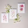 Cartes illustrées avec fleurs (magnolias, sakura, pivoines) et libellules dorées, style aquarelle, fond blanc, décoration zen japonaise