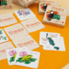 Jeu Memory des animaux avec des cartes illustrées de toucan, koala, dromadaires et autres animaux, jeu éducatif pour enfants dès 4 ans