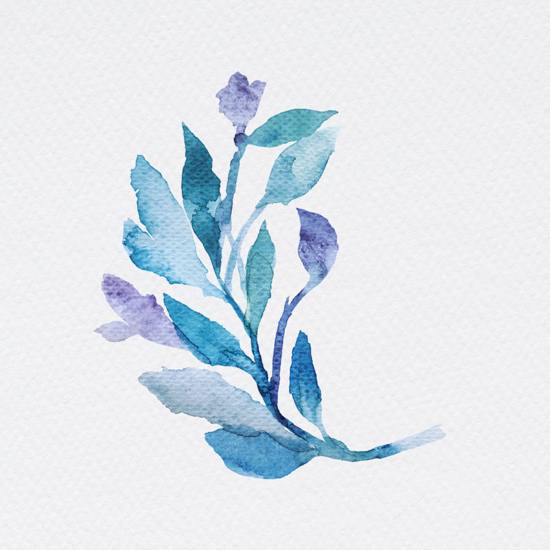 Stage créatif "Herbier poétique autour du bleu" – Image 6
