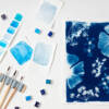 Stage cyanotype aquarelle Stage créatif "Herbier poétique autour du bleu"
