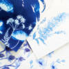 Stage cyanotype aquarelle 2 Stage créatif "Herbier poétique autour du bleu"