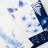 Stage cyanotype aquarelle 3 Stage créatif "Herbier poétique autour du bleu"