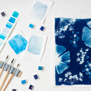 Stage créatif "Herbier poétique autour du bleu"