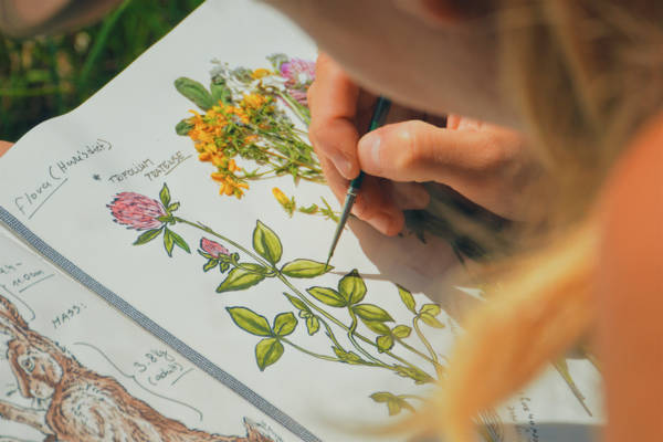 Stage créatif "Planche botanique à l'aquarelle"