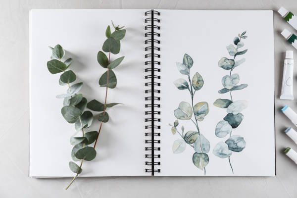 Stage créatif "Planche botanique à l'aquarelle"