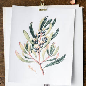 Stage créatif "Planche botanique à l'aquarelle"