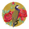 Affiche - Le cormoran