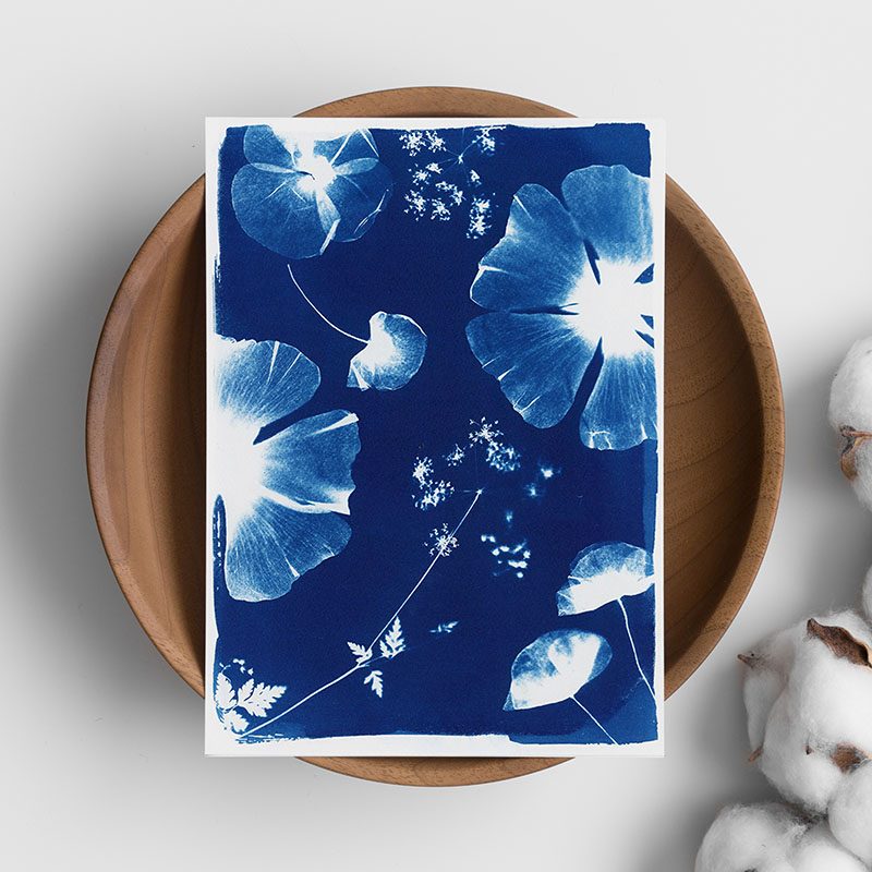 Cyanotype sur papier
