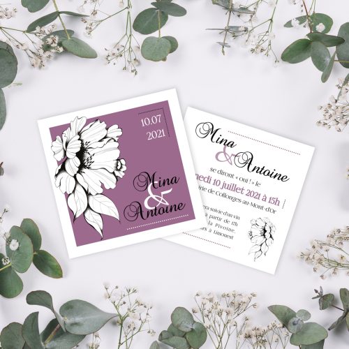 Pivoine-violet-Presentation