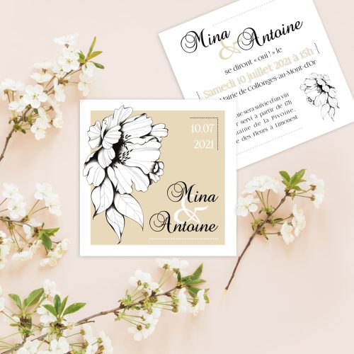 Pivoire-sable-Presentation