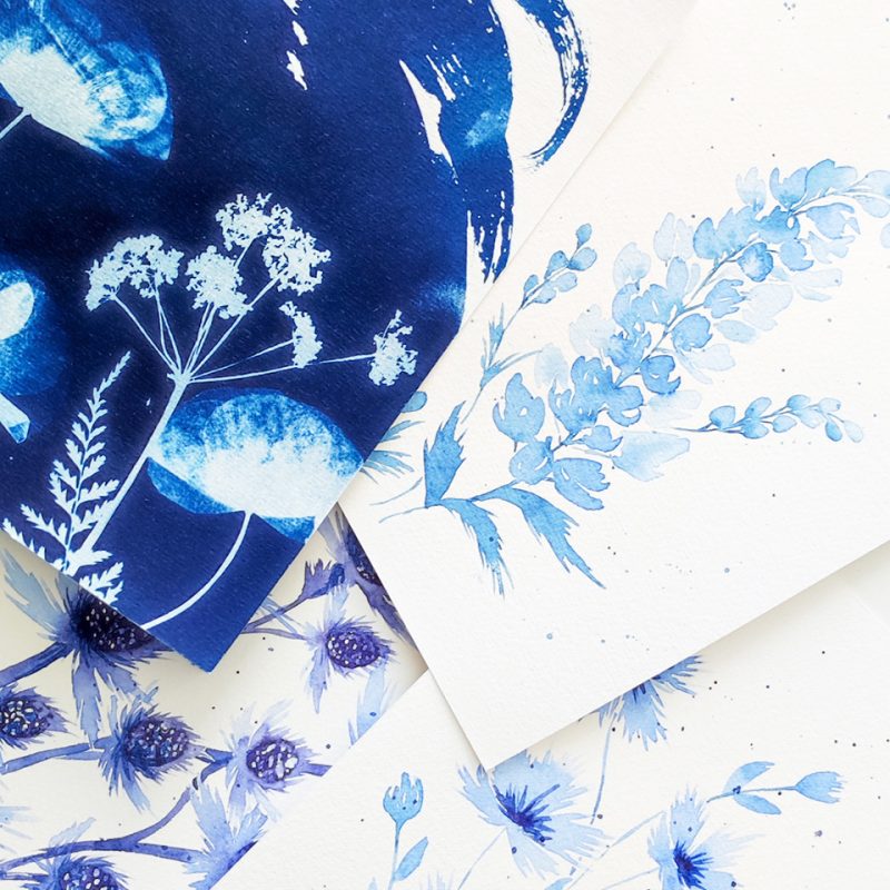 Stage cyanotype aquarelle 2