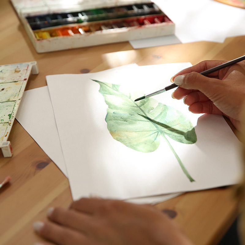Stage planche botanique aquarelle carré 2